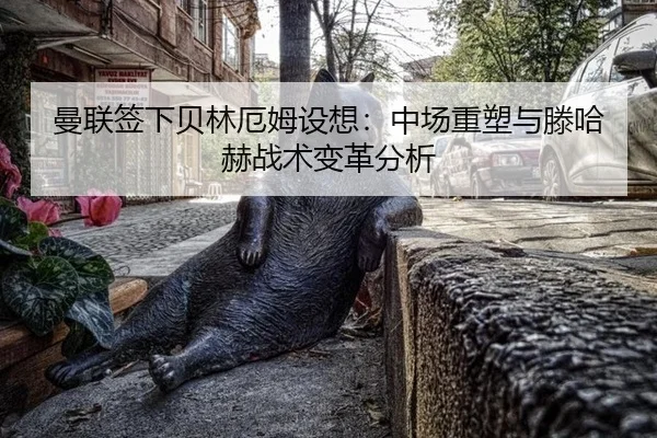 man-lian-qian-xia-bei-lin-e-mu-she-xiang-zhong-chang-zhong-su-yu-teng-ha-he-zhan-shu-bian-ge-fen-xi-2-866.jpg